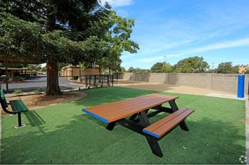 Dog park